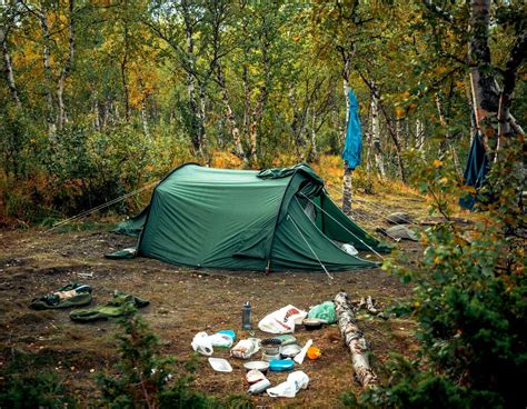 Small group has been illegally camping in northern Minnesota forest for ...