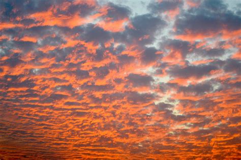 Free stock photo of clouds, orange sky