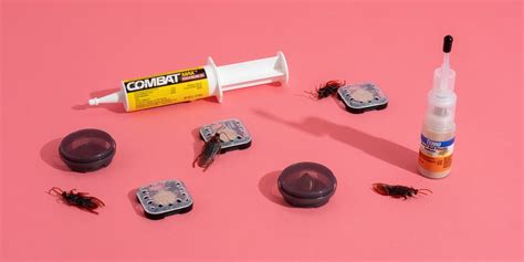 The 5 Best Roach Killers of 2024 | Reviews by Wirecutter