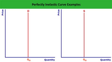 A Perfectly Inelastic Demand Schedule - Michelle Payne