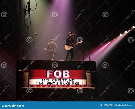 Fall Out Boy Concert editorial stock image. Image of concert - 118081869