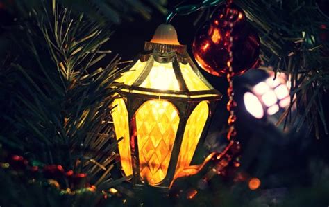Free Images : tree, light, night, darkness, festive, christmas decoration, grace, screenshot ...