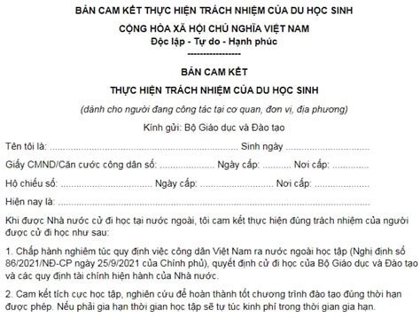 Thông tin chi tiết Mẫu bản cam kết đi du lịch Đảm bảo cung cấp cho bạn trọn vẹn