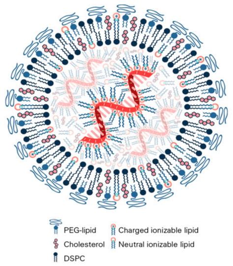 Vaccines | Free Full-Text | Nanomaterial Delivery Systems for mRNA Vaccines