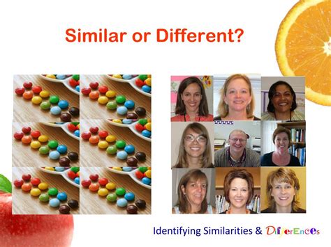 PPT - Identifying Similarities & Differences PowerPoint Presentation - ID:293906