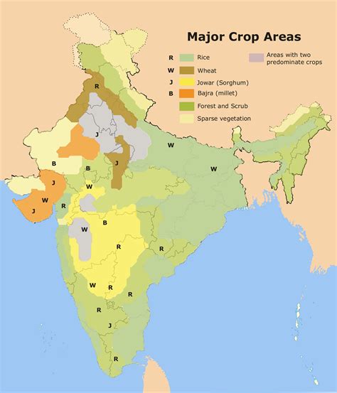File:Major crop areas India.png - Wikimedia Commons