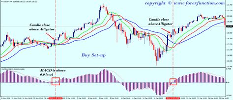 Macd histogram trading strategy # mimevagebasoh.web.fc2.com