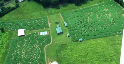 Kyker Farms Corn Maze | Corn maze, Farm, Hayride