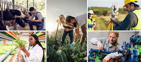 Careers And Employment In Agriculture - Center Of Agriculture