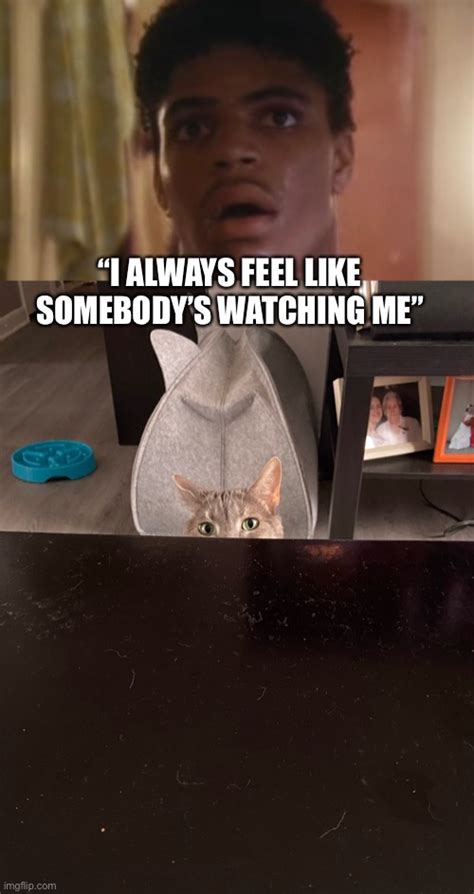 cats rockwell Memes & GIFs - Imgflip