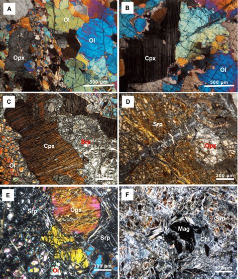 Photomicrographs of selected ultramafic rock (UR) samples from ...