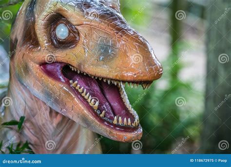 Head of a Velociraptor Dinosaur Statue Stock Image - Image of historic, dinosaur: 118672975