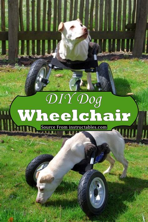 DIY Dog Wheelchair Plans & Tutorials for Mobility-Challenged Dogs