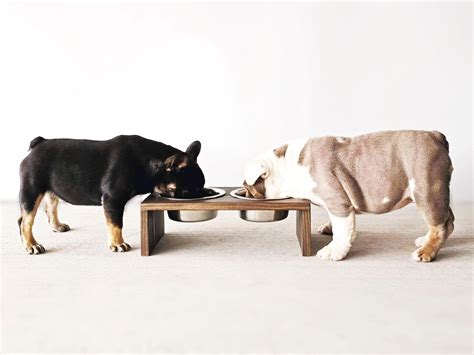 Modern Elevated Stainless Steel Dog Bowl Set Raised Dog Bowl Feeder ...