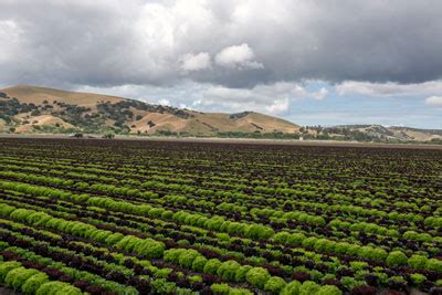 Historic Point of Interest: Spreckels Sugar Beet Factory Near Salinas, California