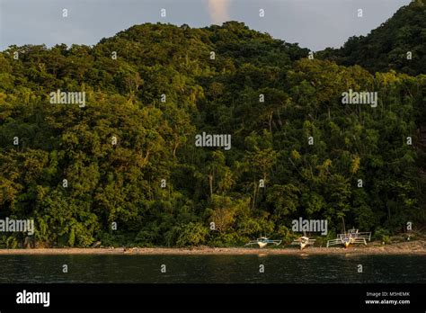 Anilao, Batangas, Philippines, Asia Stock Photo - Alamy