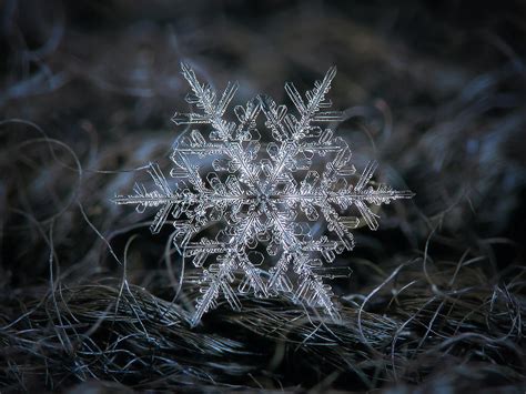 Real snowflake 2014-12-26_1 Photograph by Alexey Kljatov - Pixels