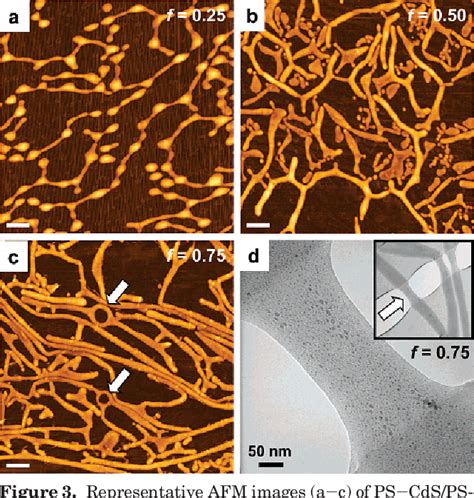 Figure 3 from Hierarchical nanoparticle/block copolymer surface ...