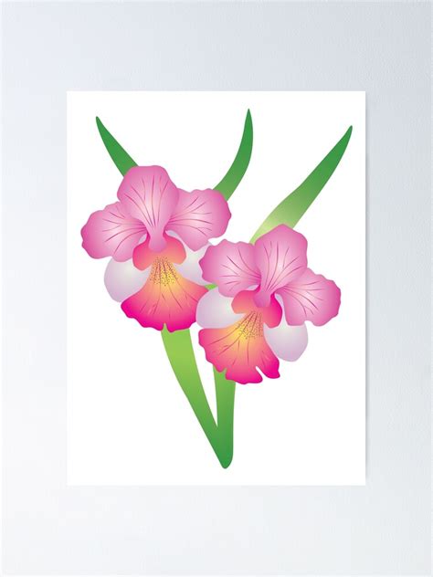 "Singapore Orchid Vanda Miss Joaquim Illustration" Poster for Sale by ...