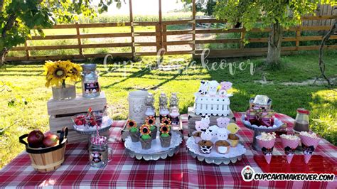 Barnyard Party Ideas: Eli’s Farm Birthday Party - Cupcakemakeover