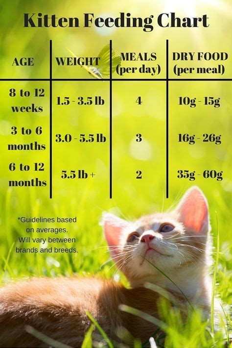 Kitten feeding chart for kittens on a dry food schedule. Quantities of ...