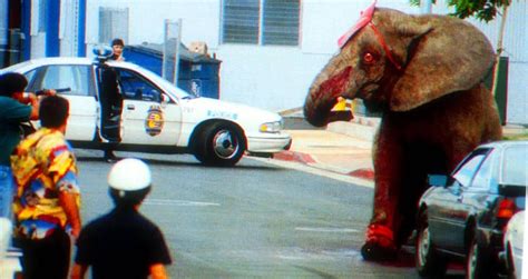 The Tragic Story Of Tyke The Elephant And Her Brutal Death