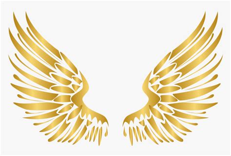 Angel Wings Vector Png, Transparent Png - kindpng