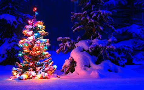 Christmas Background, Snowy Christmas Tree Lights, Snowy Christmas Night HD wallpaper | Pxfuel