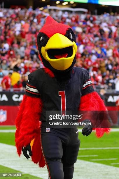 2,077 Cardinals Mascot Stock Photos, High-Res Pictures, and Images ...