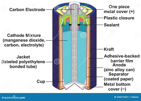 Dry Cell Battery Parts Infographic Diagram Stock Vector - Illustration ...