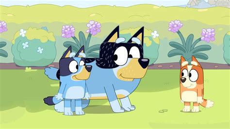 Bluey: Episode of ABC children's TV show edited over fat-shaming claims | World News | Sky News