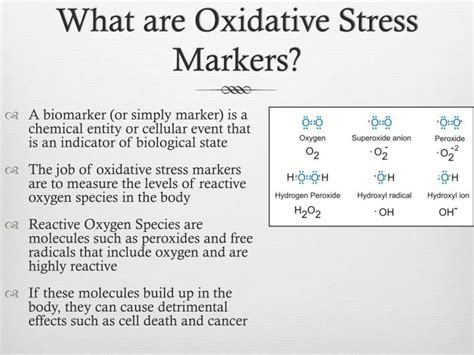 PPT - Oxidative Stress Markers PowerPoint Presentation - ID:2292903