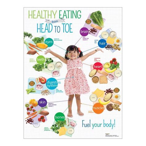 Preschool Healthy Eating from Head to Toe Poster | Szkoła, Domowe przedszkole