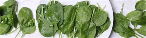 10 Incredible Benefits of Spinach for Your Health — Dr Trust