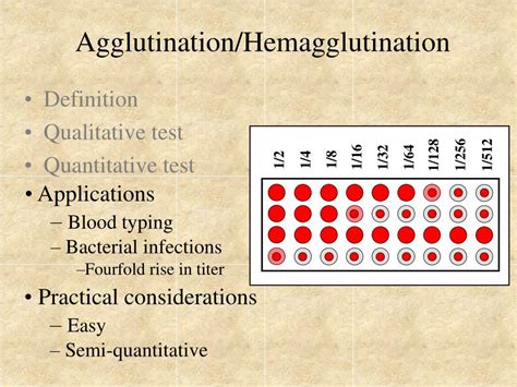 PPT - Agglutination Tests PowerPoint Presentation, free download - ID:5903463