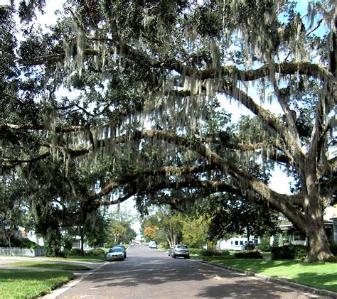 Day 66 - Sanford Historic Residential District - Sanford 365