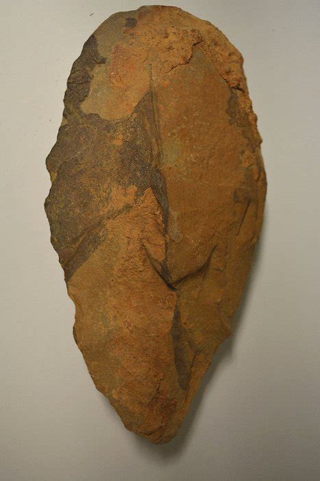 Paleolithic Hand Axe -16 cm - Catawiki