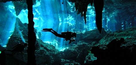 ☑️ Cenotes en Playa del Carmen, Yucatán | Guía 2024