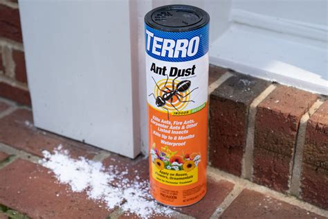 Our 8 Best Ant Killer Picks (2024) - This Old House