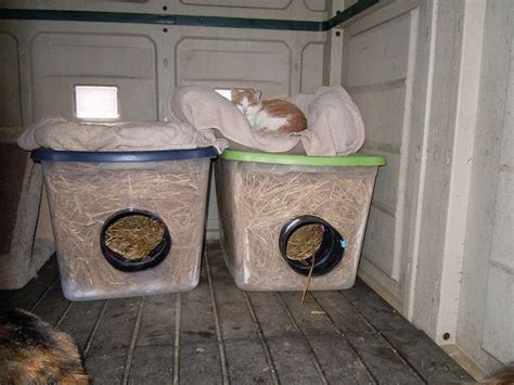 This is our set up for the outside cats. We converted our shed into their shelter. I made 2 ...