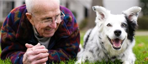 Meet Chaser, The Smartest Dog in The World That Knows More Than 1000 Words - Women Daily Magazine