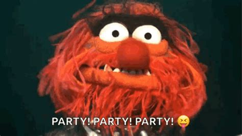 Muppets Animal Party Party GIF | GIFDB.com