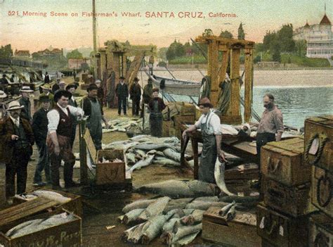 The Santa Cruz Wharf: A Hundred Years of History | Mobile Ranger