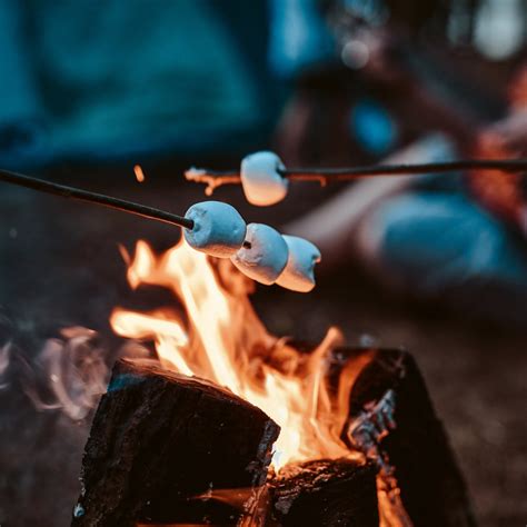 NATIONAL TOASTED MARSHMALLOW DAY - August 30, 2022 - National Today