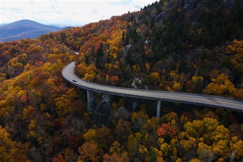 The Blue Ridge Parkway Road Trip Guide | Drivin' & Vibin'