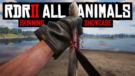 SKINNING & CAPTURING ALL ANIMALS in RDR2 (First Person) - YouTube