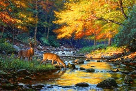 Wild Animals Nature Rocks Mountain Forest Paintings Enchanting Deers Waterfalls Splendor Art ...