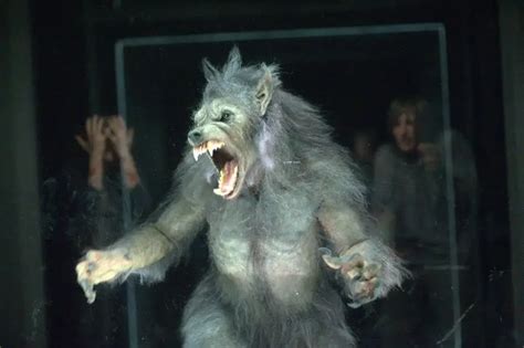 31 Best Werewolf Movies for a Howling Good Halloween - Parade