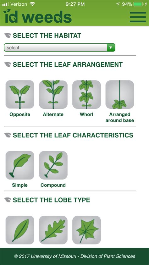 Smartphone Applications to Assist with Weed Identification | WSU Tree Fruit | Washington State ...