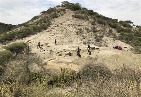 Oldest hominins of Olduvai Gorge persisted across changing environments – Popular Archeology